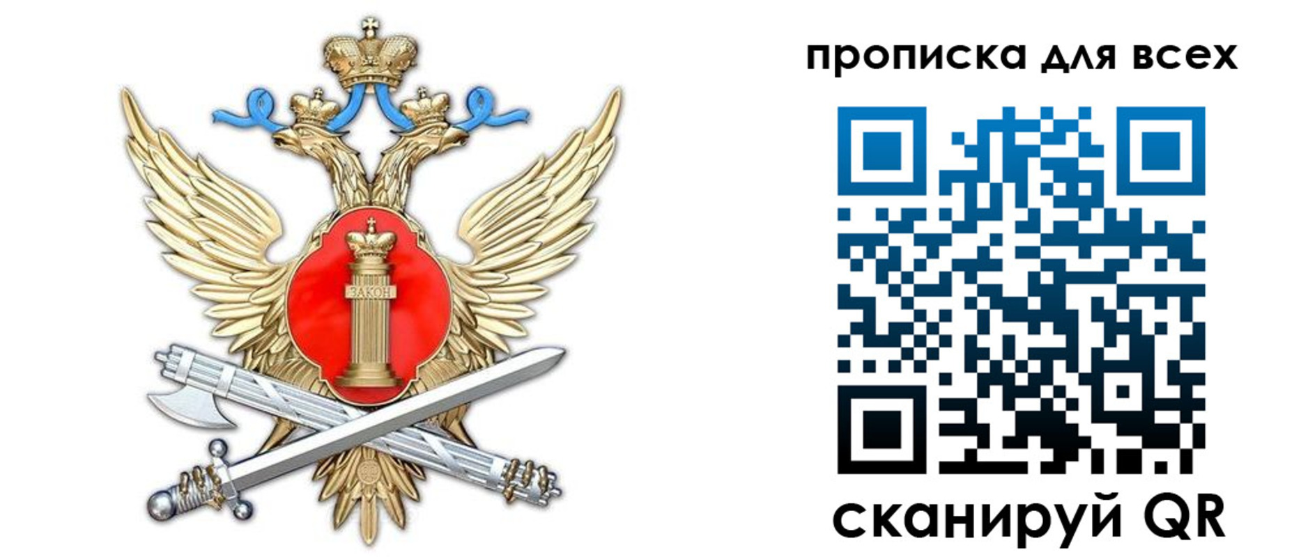 прописка законно в Борзе